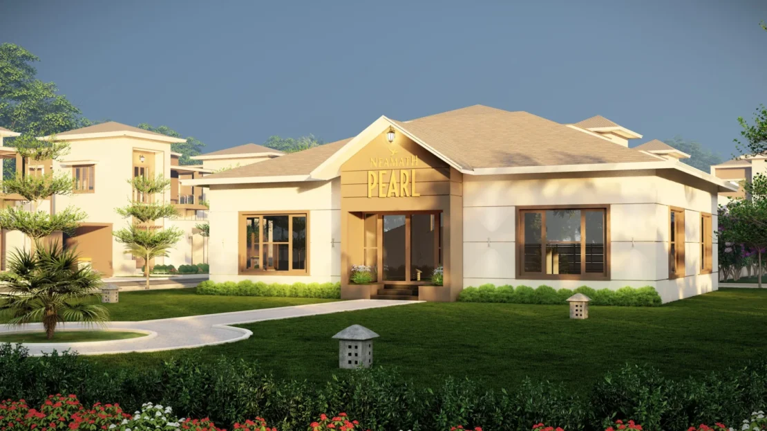 video image
